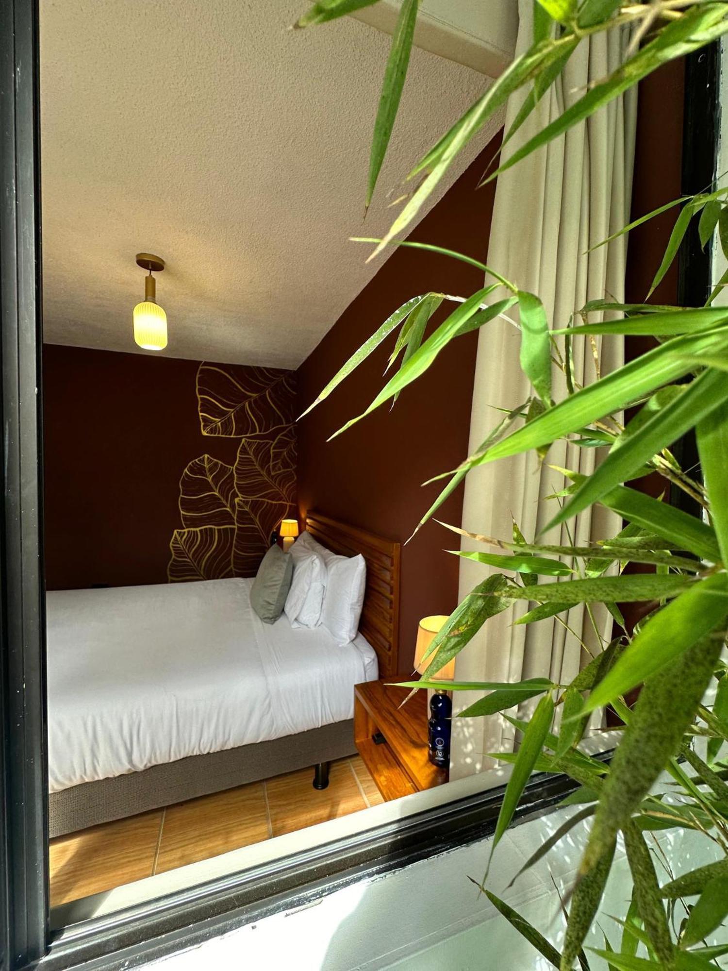 Hotel Agave Banos Eksteriør bilde