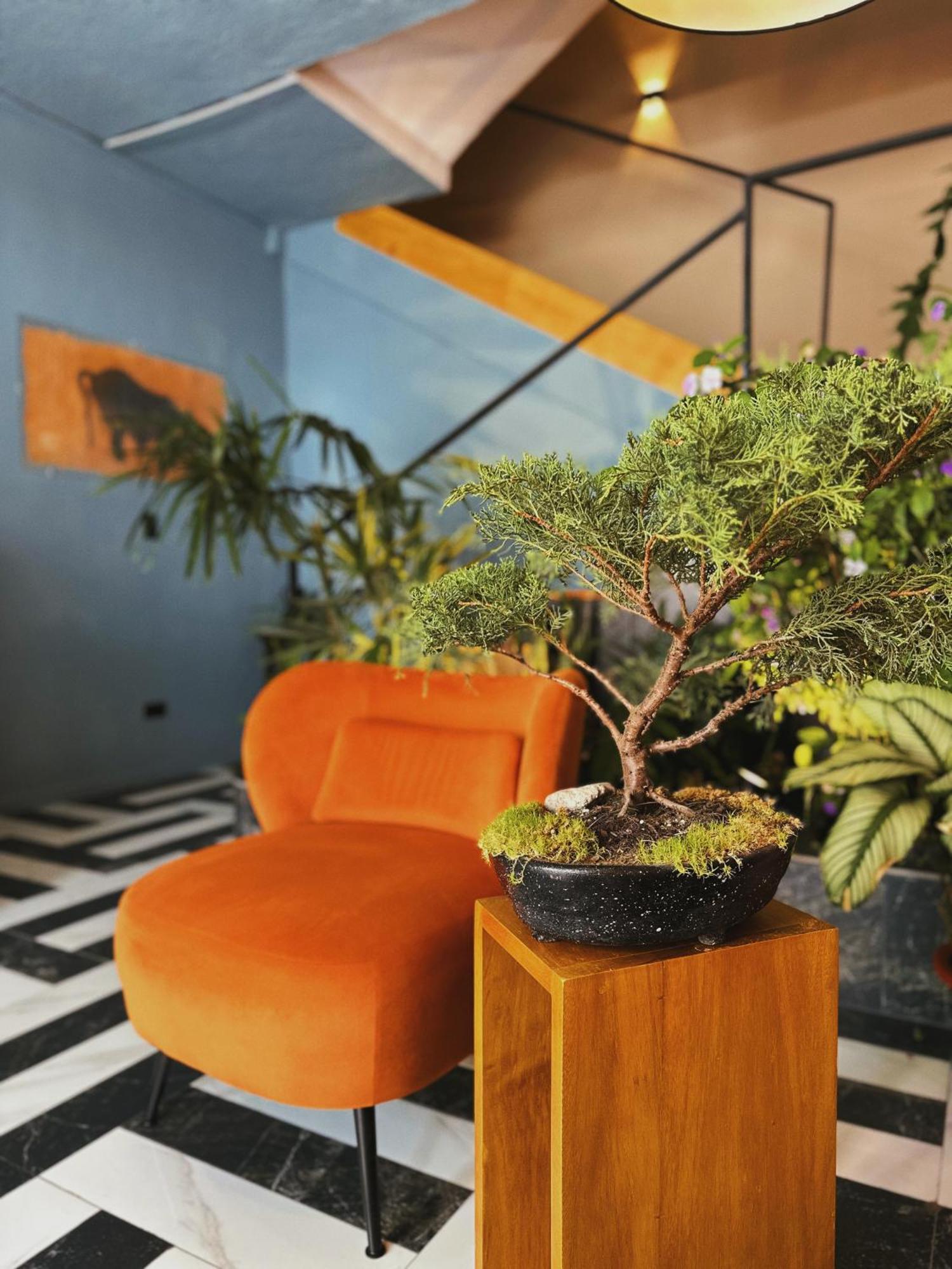 Hotel Agave Banos Eksteriør bilde